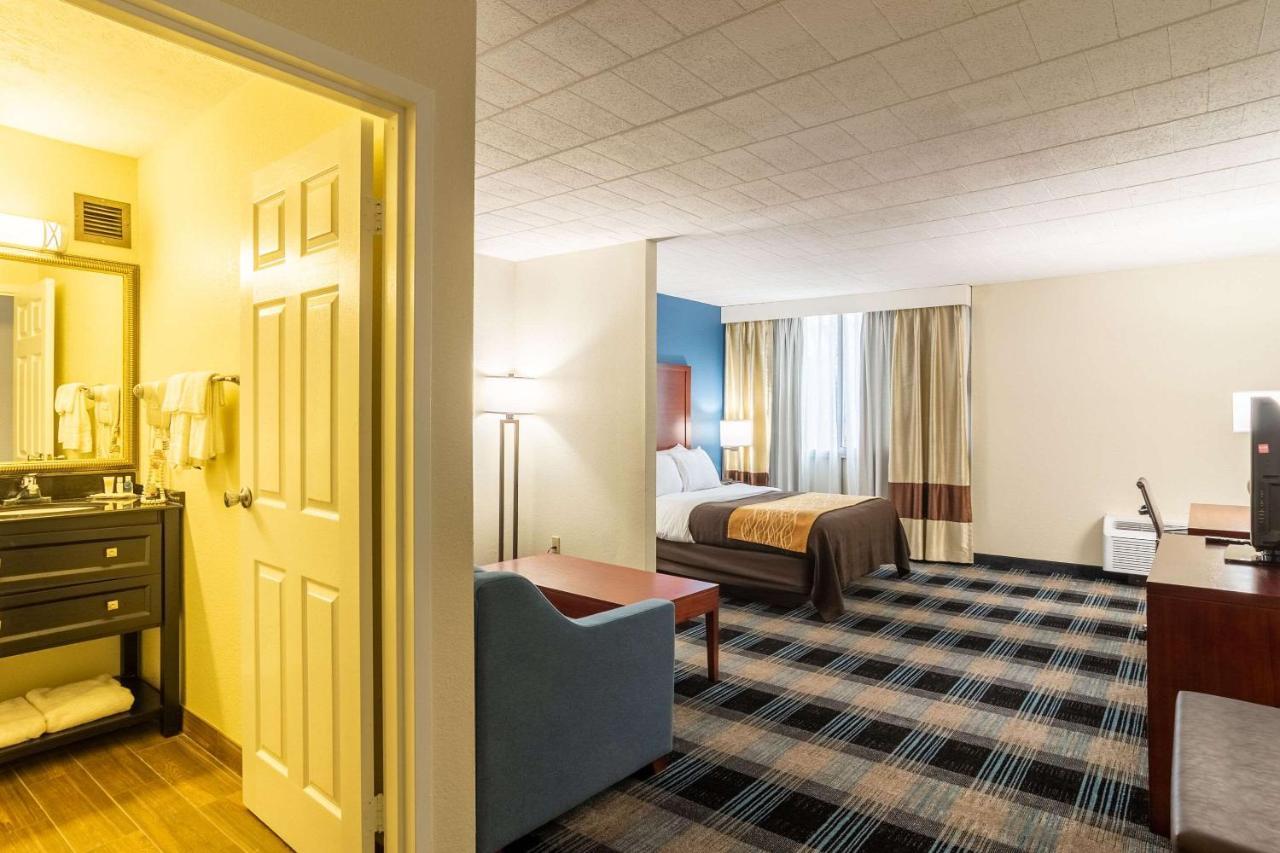 Comfort Inn & Suites Montrose Hill Экстерьер фото